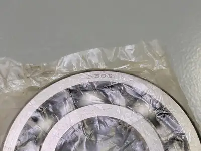 Radial/Deep Groove Ball Bearing No. 6306