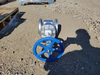 NEW DSI VALVES 37 XUF