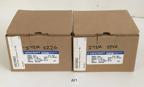 NEW Ashcroft XLdp