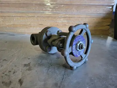 1/2" Class 800 Gate Valve B16.34