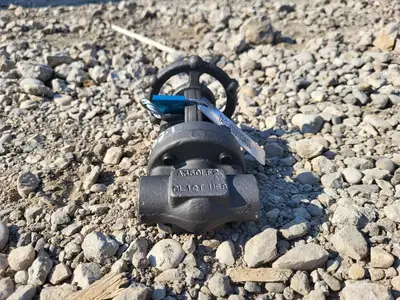 NEW BONNEY FORGE HL 1L3S-NACE-LE