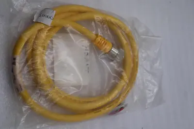 Turck RSM RKM-46-2M Cable 4 Pin 2M - New No Box STOCK 5321