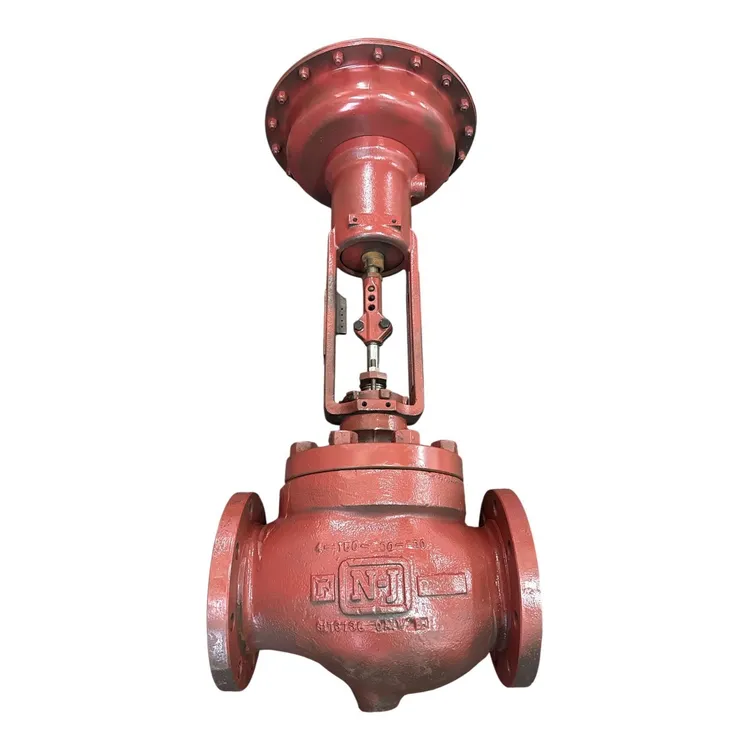 Used NELES JAMESBURY G11 Valves/Fittings MX | MAQUINARIA PECUSA #1394387