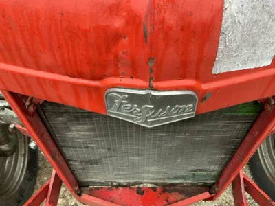 Used FERGUSON TO-35 Utility Tractors Michigan US | Miedema Asset Management Group #1327297