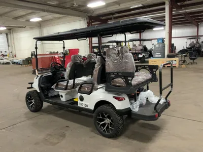 Used 2026 SDLANCH HQ100 Golf Carts Michigan US | Miedema Asset Management Group #1477052