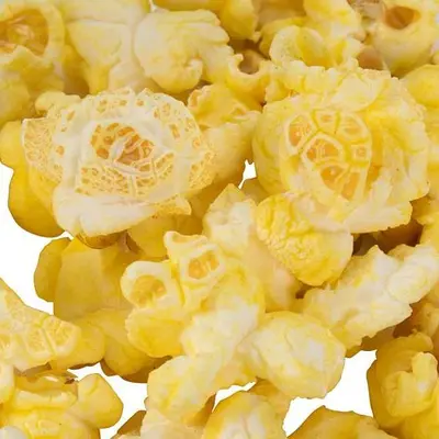 Reist Popcorn 50 lb. Bulk Bag of Hi Pop Mushroom Popcorn Kernels