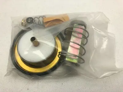 Asco Red Hat 310493 Valve Rebuild Kit (Believed to be complete)