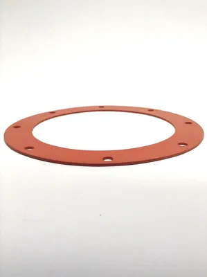 Rubber Gasket | Target Rock Gasket for 79AB-007 Solenoid Actuated Globe Valve - New Other