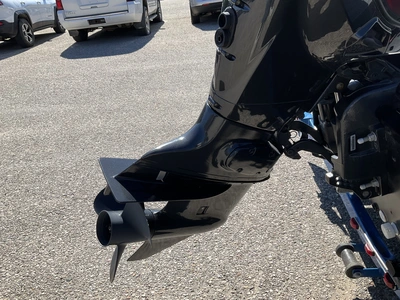 USED 2017 STARCRAFT RENEGADE 168