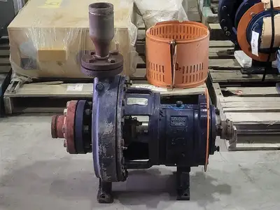 USED GOULDS 3196