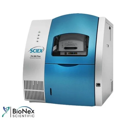 Used SCIEX PA 800 PLUS Electrophoresis New Jersey US | Bionex Scientific LLC #800446