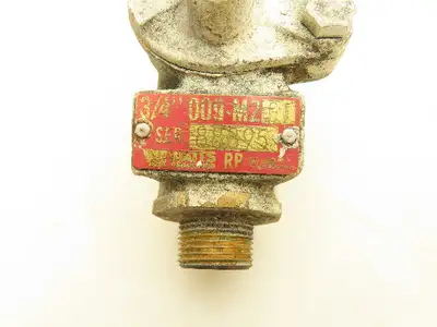 Watts Regulator 3/4" 009-M2QT Backflow Preventer Bronze Valve Body 3/4"