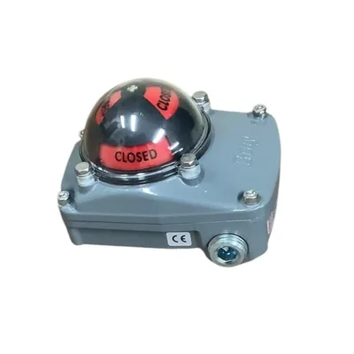 Belgrade LIMIT SWITCH Bray Accessories | Iron Listing (1)