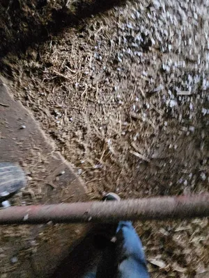 NEW IDEA 177 Conveyors | Iron Listing (5)