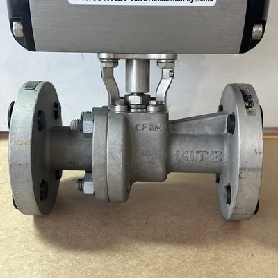 NEW Flowserve B085S10