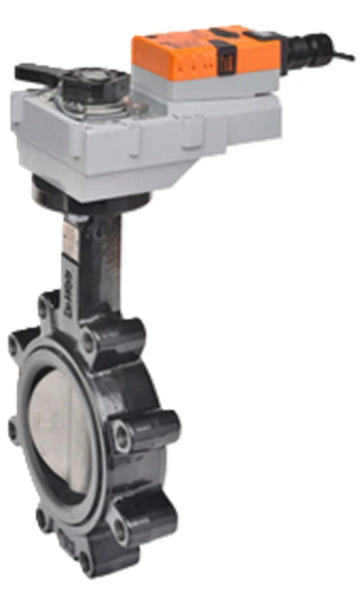Belimo F6100HDU+GKB24-MFT-X1 [New]