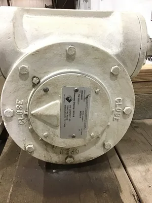 EIM WO20-B Carbon Steel Butterfly Valve 17 HW Turns