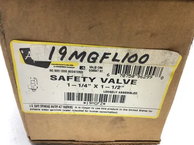 Apollo 19MGFL100 1-1/4″ X 1-1/2″ Safety Valve