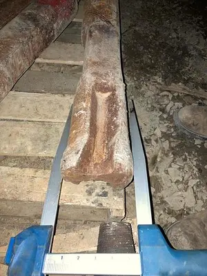 Used GILL ROCK 2-1/4” X 3-1/4” PIN, 5-7/10" X 26" CHISEL BIT - 28528 Other Cutting Tools Pennsylvania US | East West Machinery & Drilling #1417206
