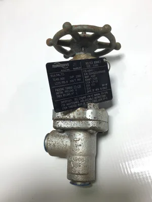 Flowserve B16.34LTD Gate Valve Class 800 1375PSI