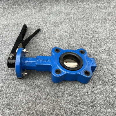 New | in-Stock WHEATLEY BFV-030L Pump & Valve Parts California US | Davliegogo LLC #1706944