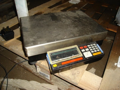 Sartorius Elect Balance 3100G X 0.05G