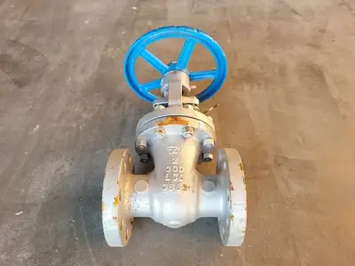 2" Class 300 Gate Valve API 624
