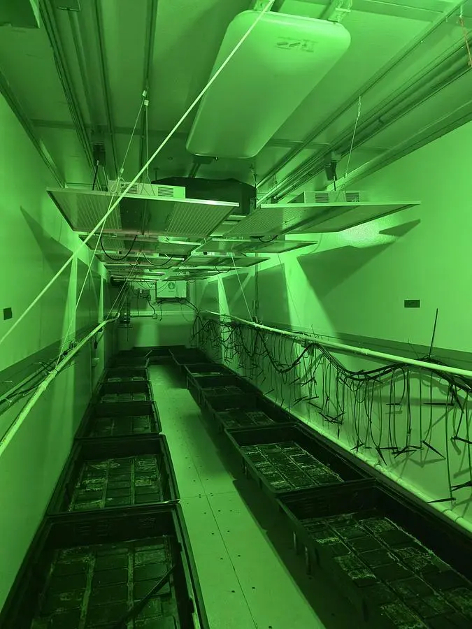 USED GROW POD SOLUTIONS 40'