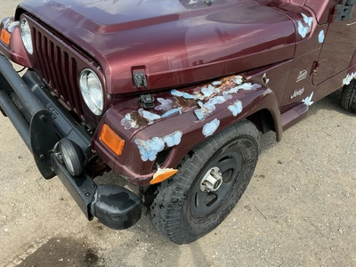 Used 2003 JEEP WRANGLER Cars Michigan US | Miedema Asset Management Group #1413950
