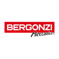BERGONZI