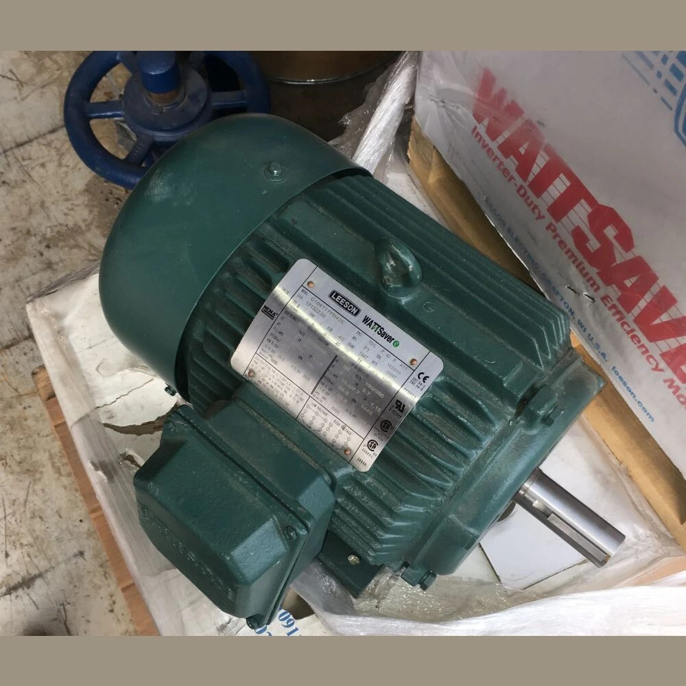 Leeson Wattsaver 5 HP Motor