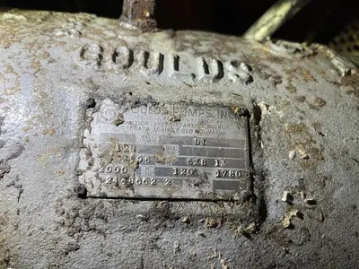 USED GOULDS 3196