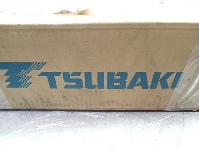 NEW TSUBAKI 1013091135