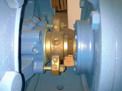 USED Goulds 3175