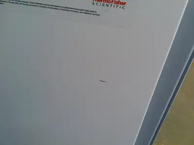 Themo Scientific TSX4505GA Glass Double Door Refrigerator 45.8Cf (2020)
