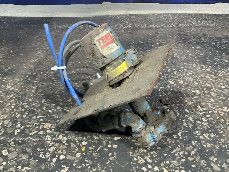 Used TEEL 3P950 Pumps Ohio US | HGR 24 #1521263