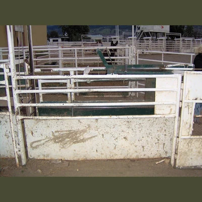 Custom Built Roping Chutes.