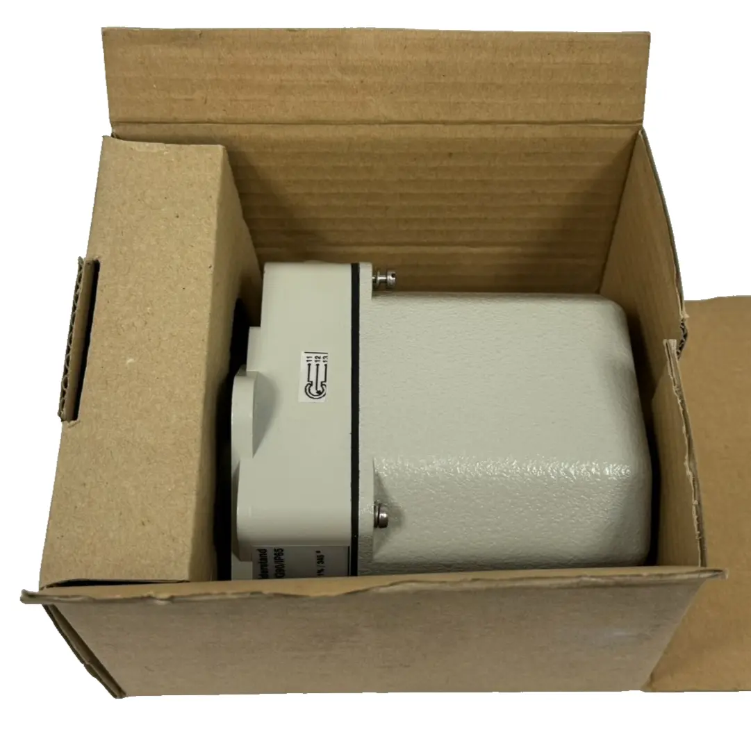 NEW FSG PW620-18D/G90/IP65 POTENTIOMETER TRANSMITTER
