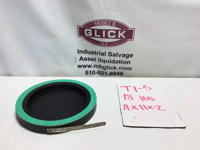 BS&B Graphite Rupture Disk 2″ Flange Rating ANSI 150 Burst Pressure 47.75 PSIG