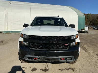 Used 2019 CHEVROLET SILVERADO 1500 Pickup Trucks Michigan US | Miedema Asset Management Group #1568287