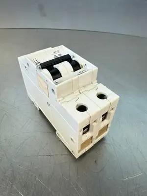 Siemens 5SX22 C3 Circuit Breaker 2 Pole 5SX2 (3.2.4)