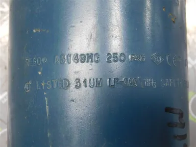 REGO A3149MG External “Pop-Action” Pressure Relief Valves 250 PSIG Used