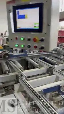 USED RAIMANN KM310M GANG RIP SAW WITH INFEED AND OUTFEED