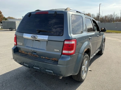 Used 2010 FORD ESCAPE Utility Vehicles Michigan US | Miedema Asset Management Group #1732718
