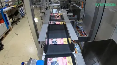 Syntegon Elematic 2000WA Bar Caser - Unused