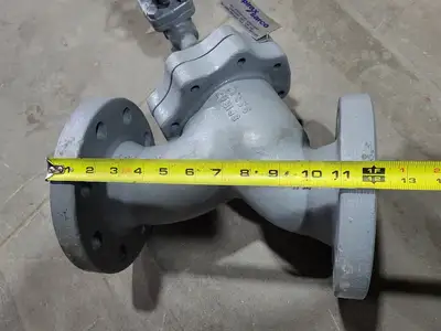 3" Fig 34 Y-Type Strainer w/ 3/4" Class 800 Gate Valve C-2054B-02TY