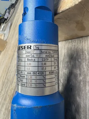 Used LESER 4373.2604 Pumps South Carolina US | ESS Industrial Equipment Sales #1307430