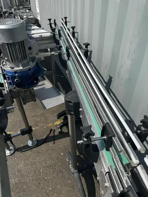 Alliance Infeed/ Dump conveyor