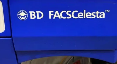 USED BECTON DICKINSON (BD) FACSCELESTA