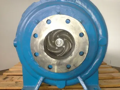 USED Goulds 3175